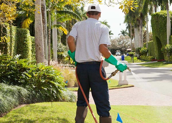 About Dighton MA Pest Control Pros